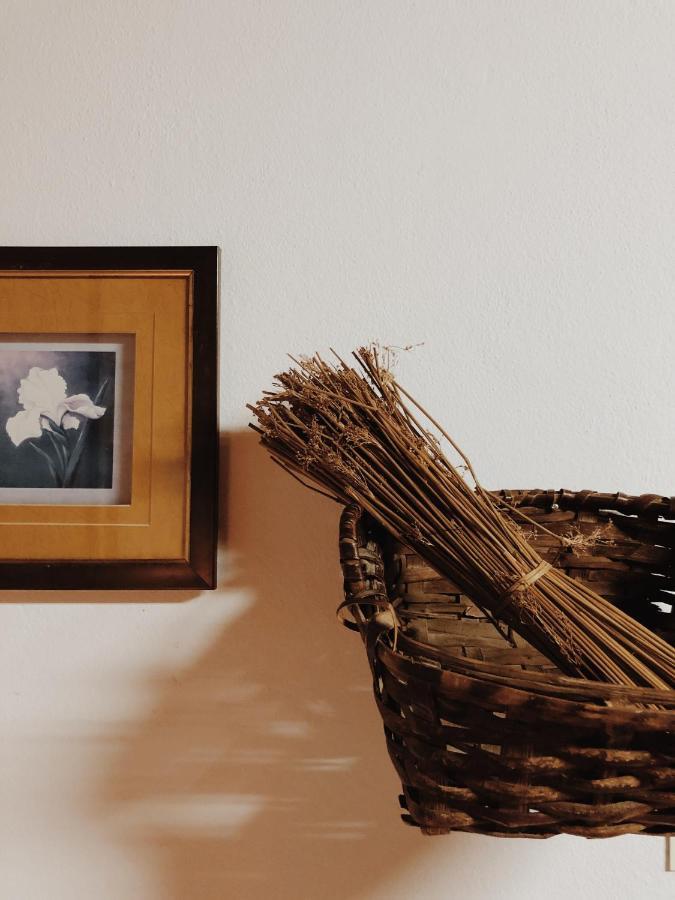 Casa Do Douro Konuk evi Alijó Dış mekan fotoğraf