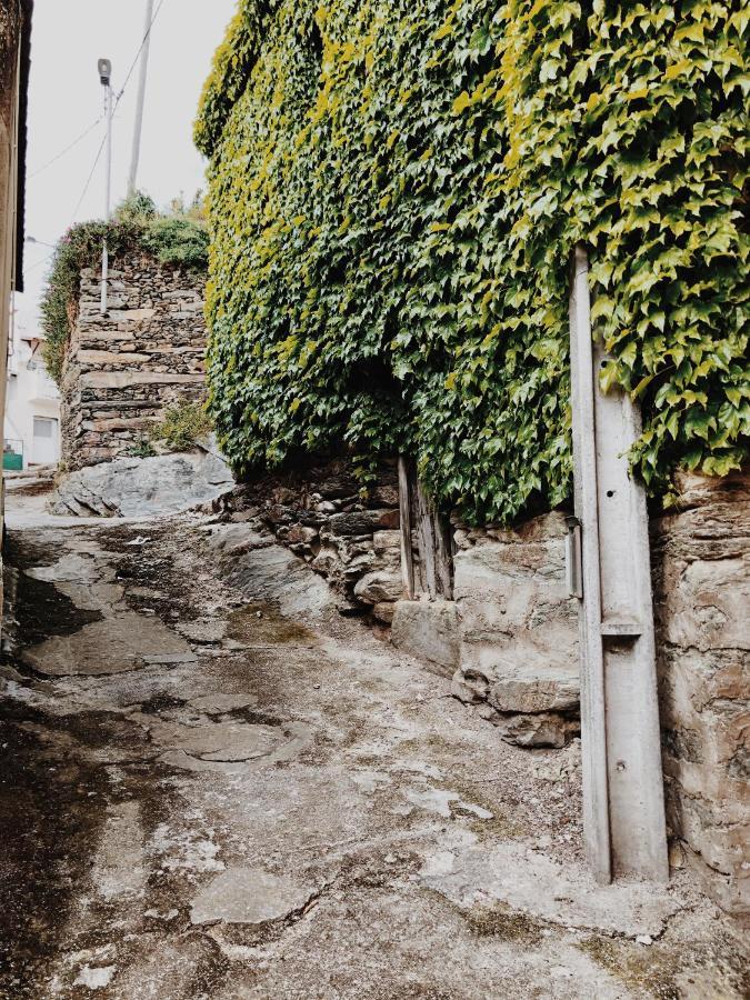 Casa Do Douro Konuk evi Alijó Dış mekan fotoğraf